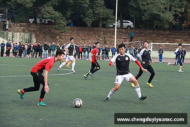 介绍beats365在线登录